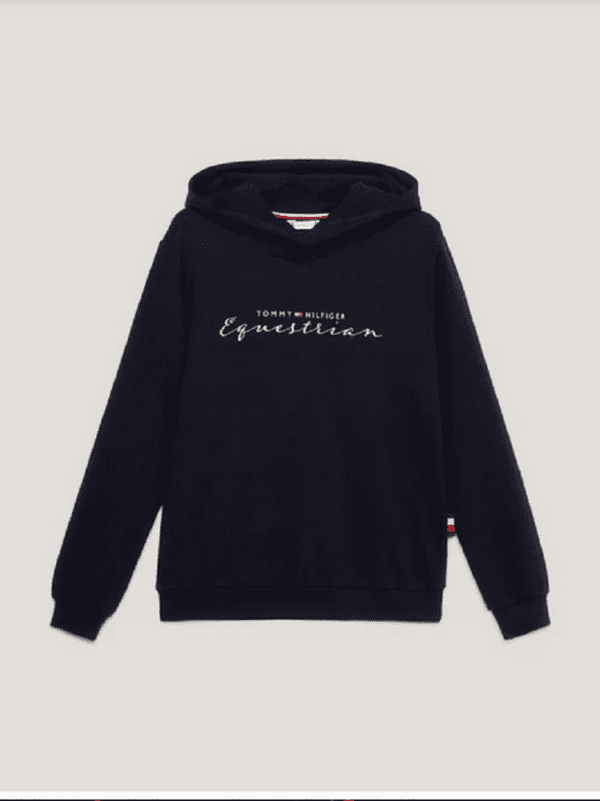 Screenshot 2024-09-30 at 10-15-05 Metallischer Logo Hoodie DESERT SKY – Tommy Equestrian European.png